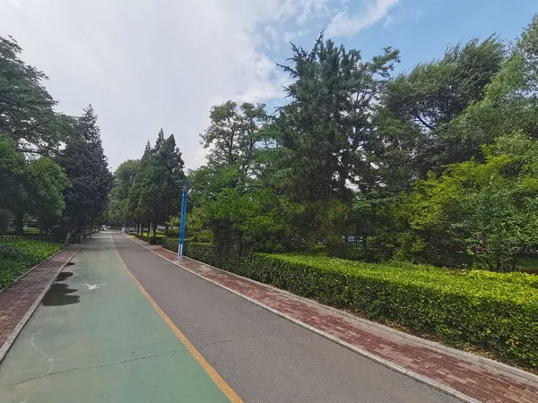 Vertical View Empty Pedestrian Street Surrounded Green Park Blue Sky — Stock Photo, Image