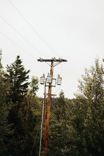 アラスカの森の中の電気ポストアンカレッジ — ストック写真