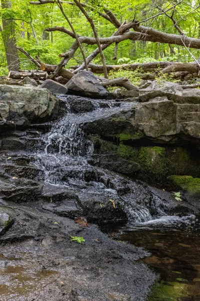 Vertikal Bild Kaskad Som Flödar Ringing Rocks County Park Pennsylvania — Stockfoto