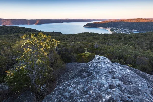 오스트레일리아 Nsw 브리즈번 공원에 근처의 아름다운 호수의 — 스톡 사진