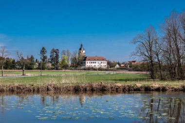 Diğer tarafında yapraklar ve çayırlar olan bir göl. Çek Cumhuriyeti 'nin Veselico Köyü' nde ağaçlar ve binalar var.