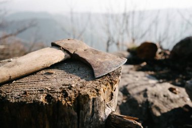 Bagajdaki baltayı yakından çek.