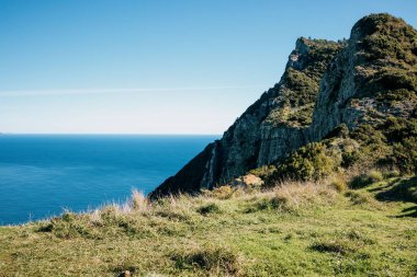 Mavi deniz ve gökyüzüne karşı yeşil uçurumları olan güzel bir yaz manzarası. Madeira, Portekiz.