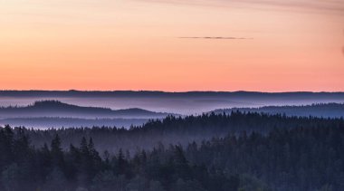 Orman ufku ve turuncu bir gökyüzü