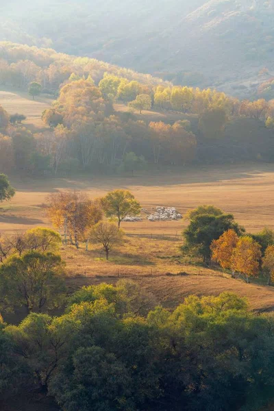 가을에 목초지의 — 스톡 사진