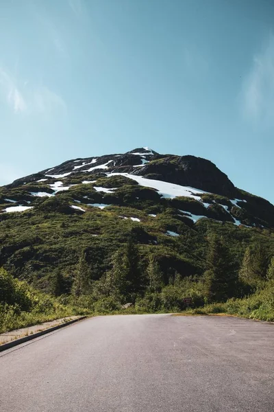 Vertikal Bild Vägen Som Leder Till Alaska Bergen — Stockfoto