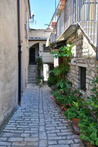 Narrow Street Old Houses Pietrelcina Village Province Benevento Italy — 스톡 사진