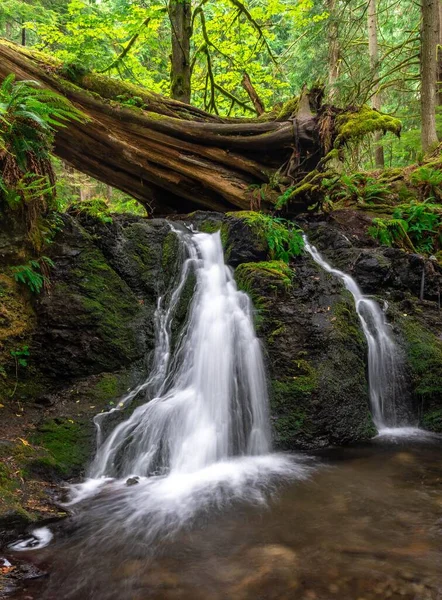 Tiro Vertical Uma Bela Cachoeira Uma Antiga Floresta Misteriosa — Fotografia de Stock