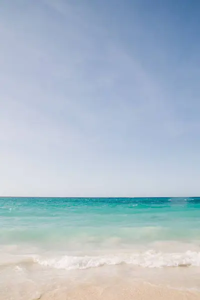 澄んだ空の下の緑の海の垂直ショット — ストック写真