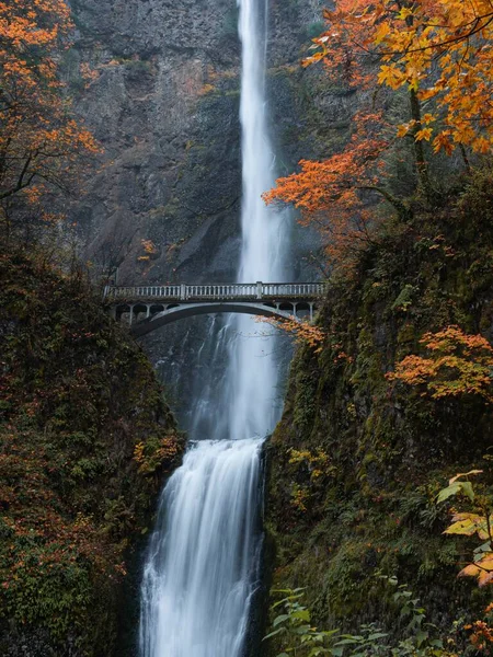 Disparo Vertical Una Cascada Puente Rodeado Colores Otoño —  Fotos de Stock