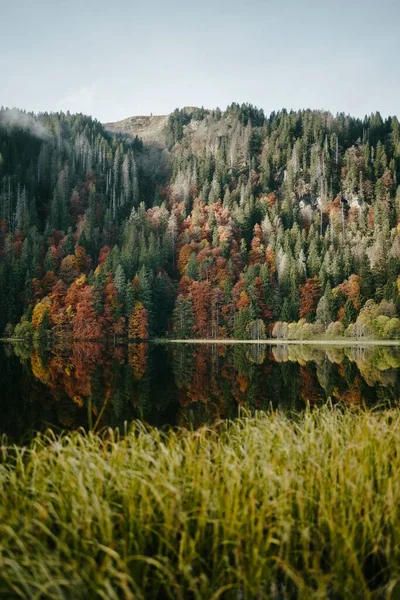 Pionowe Ujęcie Kolorowych Drzew Jeziora Schwarzwald Niemcy — Zdjęcie stockowe