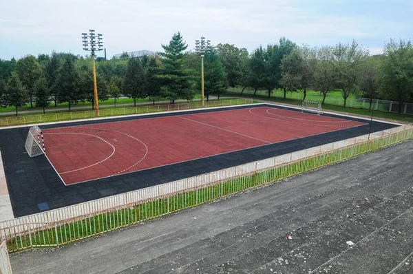 Una Vista Aérea Del Suelo Goma Pista Deportiva Rodeada Árboles —  Fotos de Stock