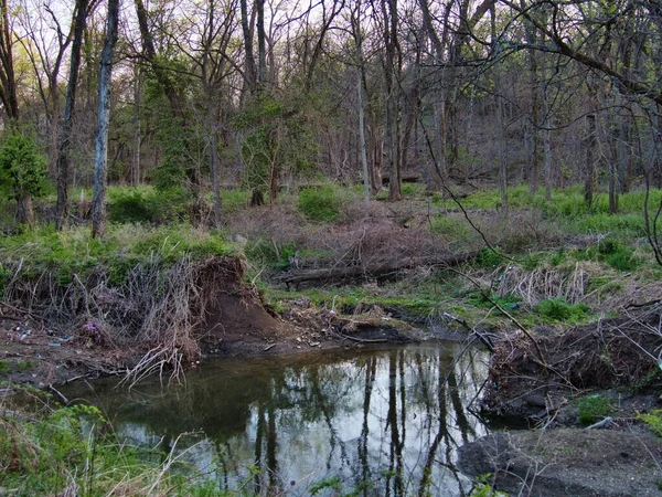Tagsüber Ein Schmales Fließendes Wasser Zwischen Wäldern — Stockfoto
