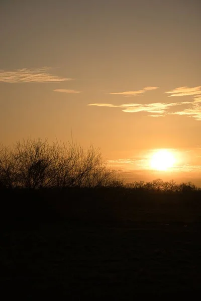 Uma Vista Pôr Sol Com Silhuetas Árvore — Fotografia de Stock