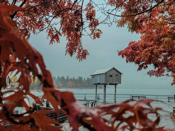港には紅葉が美しい錫の小屋を作っています — ストック写真