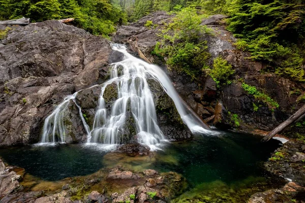 Wodospad Dolinie Walbran Vancouver Island Pne Kanada — Zdjęcie stockowe