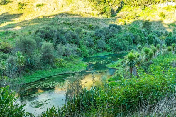 青い春の美しい風景 パタール島 ニュージーランド — ストック写真