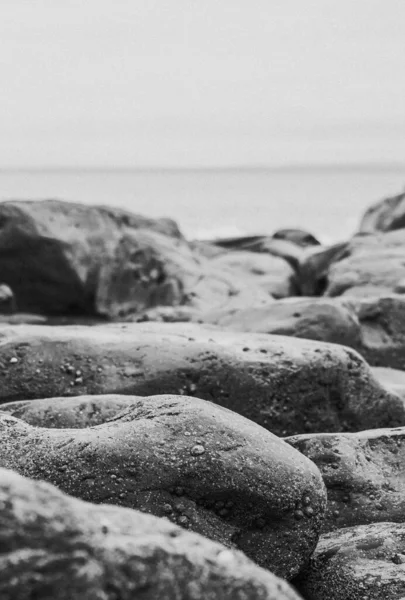 Вертикальный Снимок Скал Оттенках Серого Пляже — стоковое фото