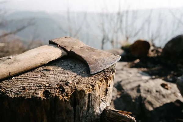 Bagajdaki baltayı yakından çek.