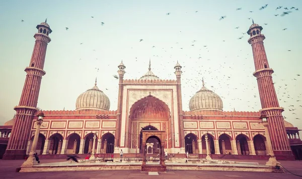 Tiro Ângulo Baixo Mesquita Catedral Delhi Nova Deli Índia — Fotografia de Stock