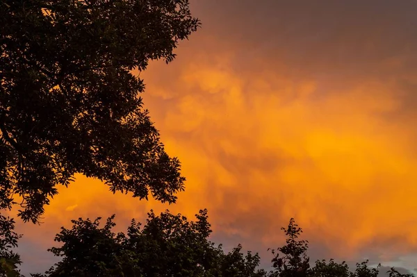 Malebný Pohled Západ Slunce Dramatickými Mraky Listím Stromů Popředí — Stock fotografie
