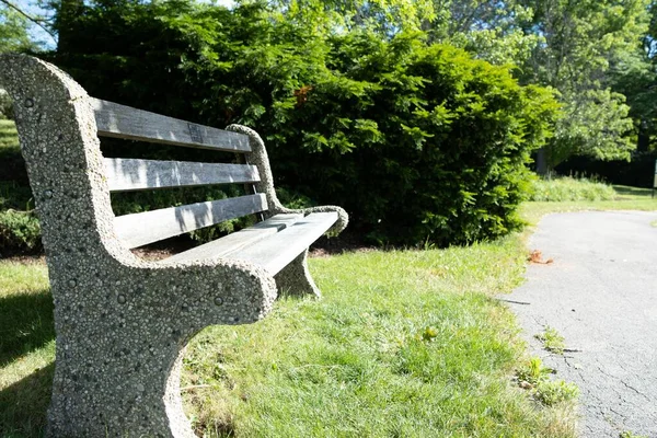 Selective Bench Green Park Sunny Morning — Stock Photo, Image