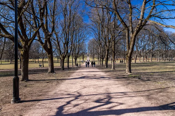 Вид Ззаду Людей Йдуть Стежкою Парку Між Голими Деревами — стокове фото