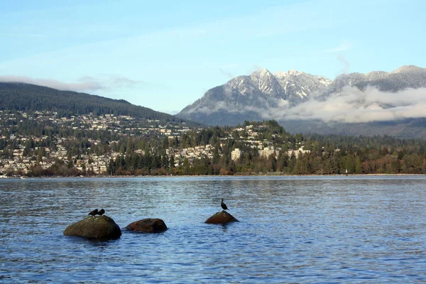 Una Splendida Vista Sul Fiume Sulle Montagne Nel Porto Vancouver — Foto Stock