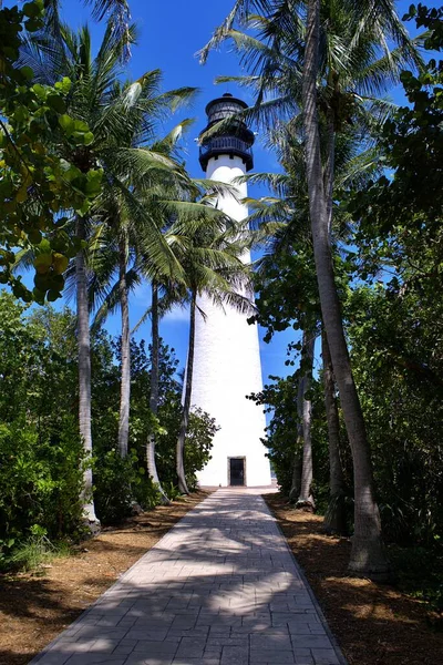 Vertical Shot Pathway Trees Palms Leading Lighthouse — Stock Photo, Image