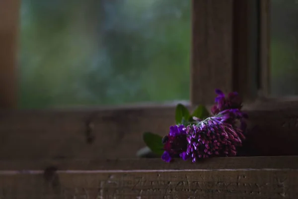 Fioletowy Kwiat Leżący Parapecie Starej Chaty — Zdjęcie stockowe