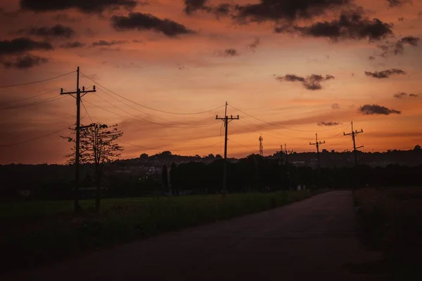 Elektrik Direklerinin Ağaçların Gölgesi Kırsal Bir Yol Kenarında Alacakaranlık Gökyüzüne — Stok fotoğraf