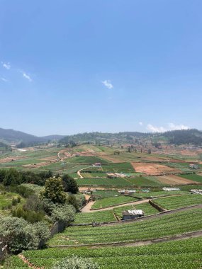 Tarım arazileriyle çevrili kırsal evler