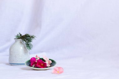 Taze bahar ve yaz estetik arkaplanı için seramik tabakta pembe çiçekler