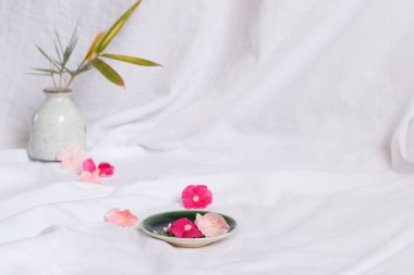 Parlak ve havadar minimalist İlkbahar temalı arka plan