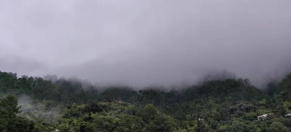 山の緑の谷の上の雲それは自然の美しさ — ストック写真