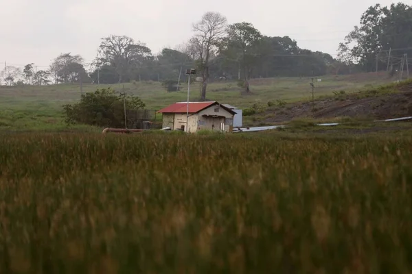 Sebuah Rumah Pertanian Sebuah Lapangan Pedesaan Selama Siang Hari — Stok Foto