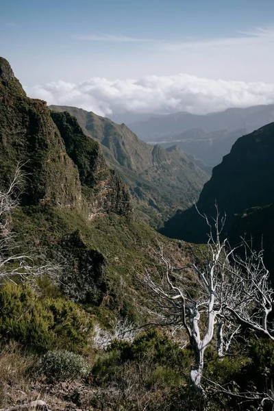 Una Hermosa Vista Las Montañas Rocosas Con Exuberante Vegetación Madeira — Foto de Stock