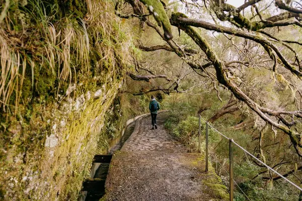 Een Dame Die Door Een Bos Loopt Madeira Portugal — Stockfoto