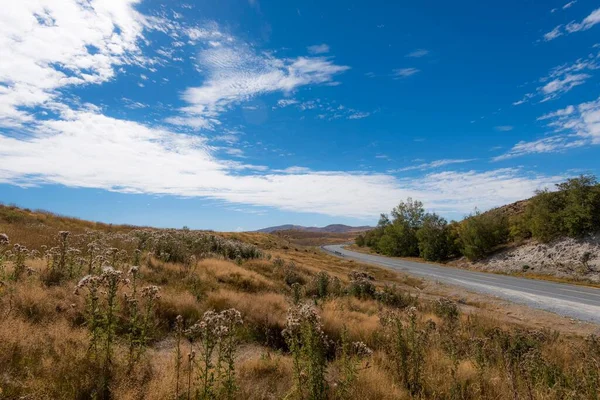 Дорога Дикой Природе Ведущая Озеру Южный Остров Новая Зеландия — стоковое фото