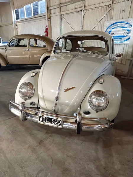 Velho Popular Volkswagen Tipo Beetle Bug Sedan Refrigerado Motor Traseiro — Fotografia de Stock