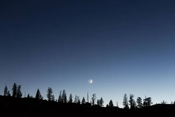 丘の上の木のグラデーションとシルエットを持つ夜空の月 — ストック写真