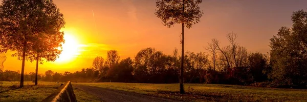 Panoramiczny Zachód Słońca Widokiem Zielony Park — Zdjęcie stockowe