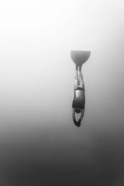 A vertical black and white of a person free-diving underwater