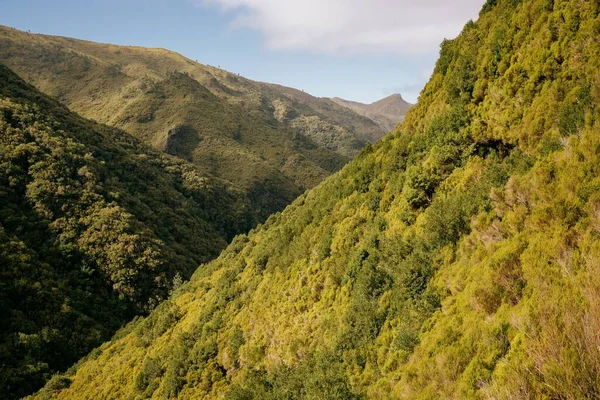 Eine Wunderschöne Berglandschaft Auf Madeira Portugal — Stockfoto