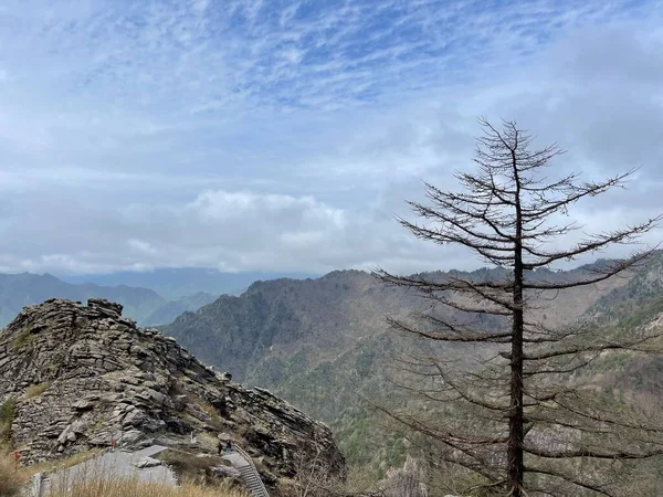 Malebný Pohled Hornatou Krajinu Vysokým Stromem Popředí — Stock fotografie