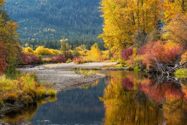 Спокойный Пруд Лесу Красочными Осенними Деревьями — стоковое фото