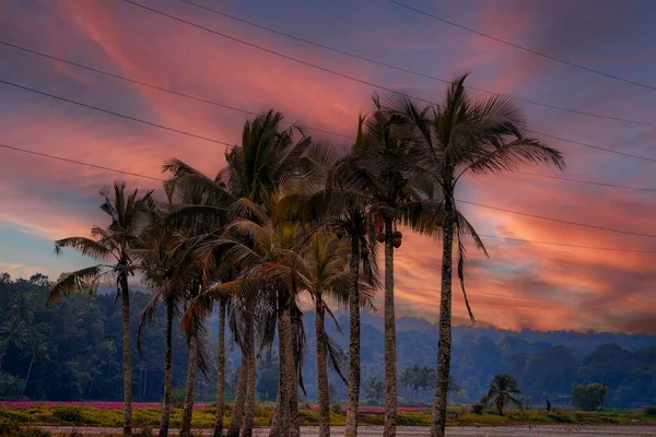 Ein Blick Auf Kokospalmen Bei Buntem Bewölkten Sonnenuntergang — Stockfoto