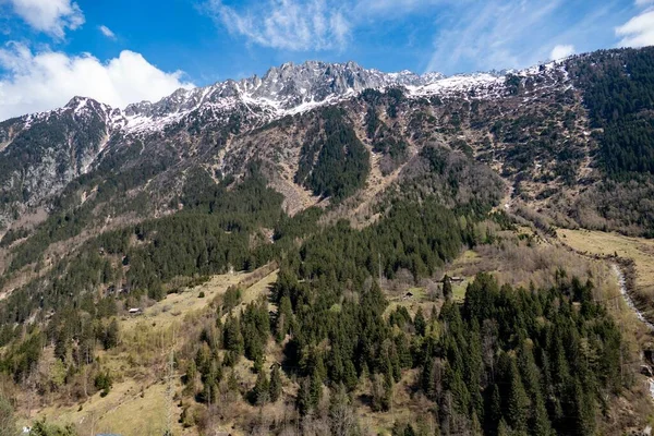 Önünde Ağaçlar Olan Karla Kaplı Dağların Manzarası — Stok fotoğraf