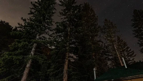 Kiefern Der Nacht Raymond Colorado — Stockfoto