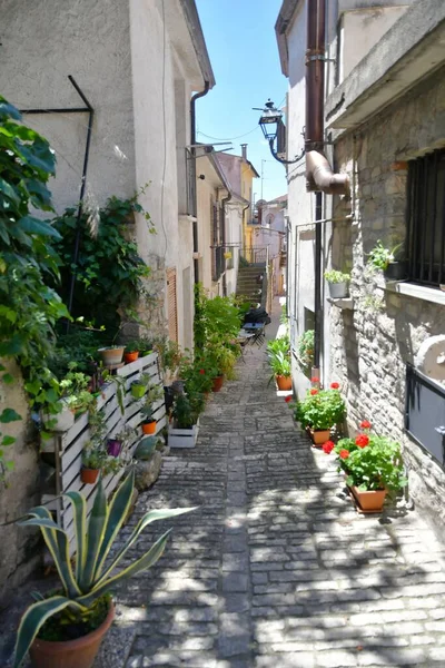 Narrow Street Old Houses Pietrelcina Village Province Benevento Italy — Stock fotografie